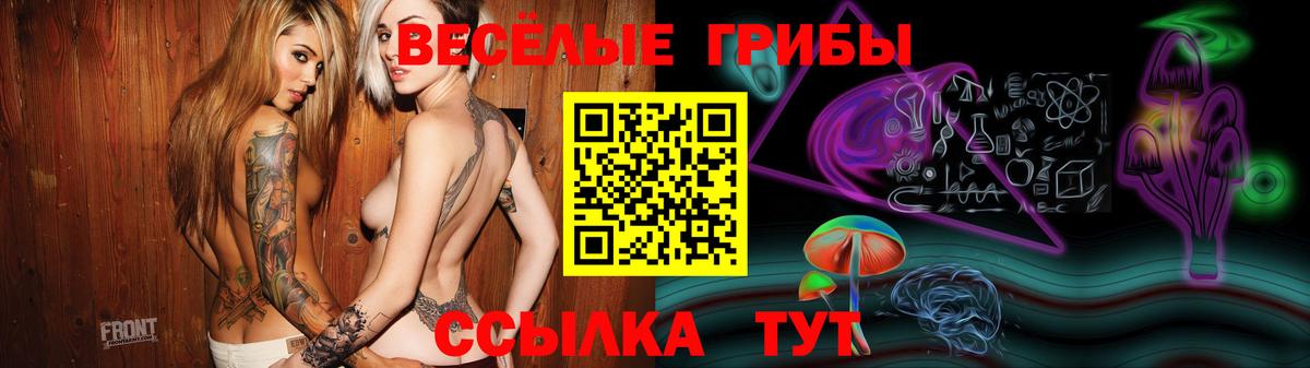 где продают наркотики  Псилоцибиновые грибы Cubensis  Вход с VPN  Южно-Сахалинск  Псилоцибиновые грибы MAGIC MUSHROOMS 